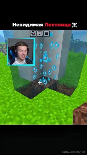 НЕВИДИМАЯ Лестница в Minecraft!😳 Я В ШОКЕ! #shorts #шортс #minecraft #майнкрафт #майн #прикол #мем