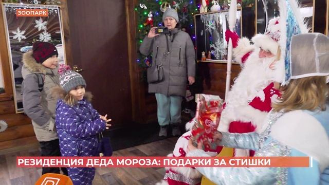 Резиденция Деда Мороза заработала в зоопарке смотреть онлайн
