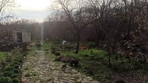 22,23 ноября 2025г.Строю дом. Фундамент закончен -урра)) Начала делать террасу)