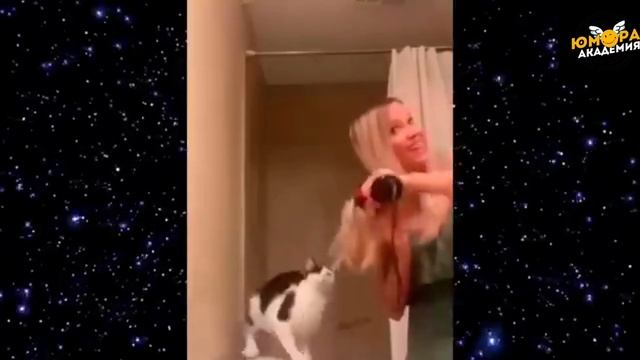 #143 Я РЖАЛ ДО СЛЕЗ 😂 CМЕХ БЕЗ ПАУЗ 🚀 / ЛУЧШАЯ НАРЕЗКА УГАРА🤣 / АКАДЕМИЯ ЮМОРА смотреть онлайн