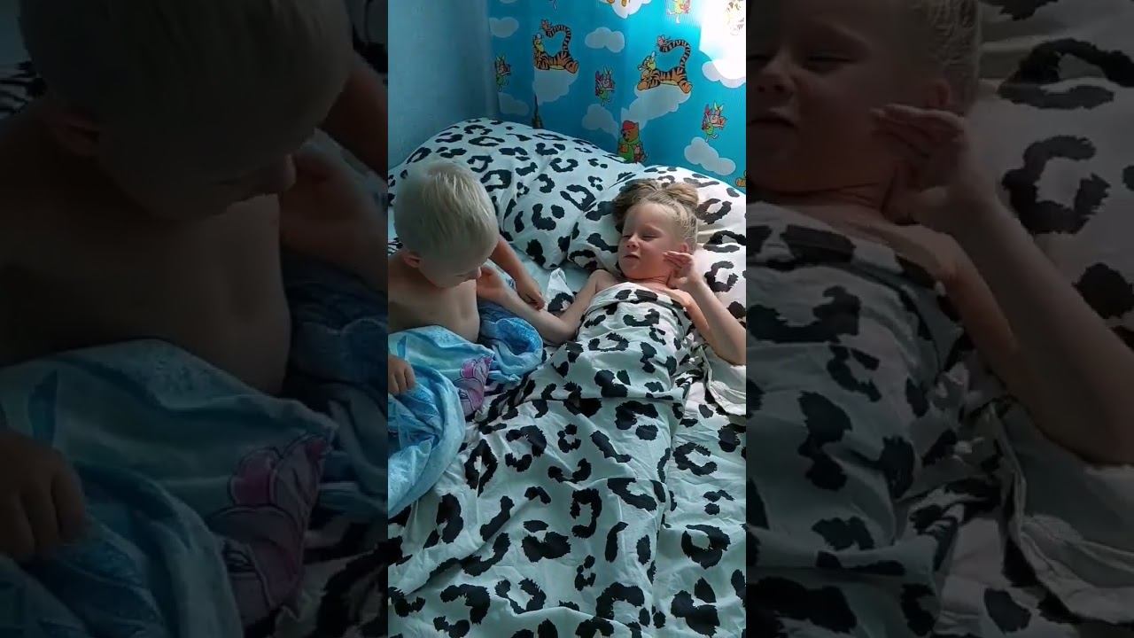 мои котятки смотреть онлайн