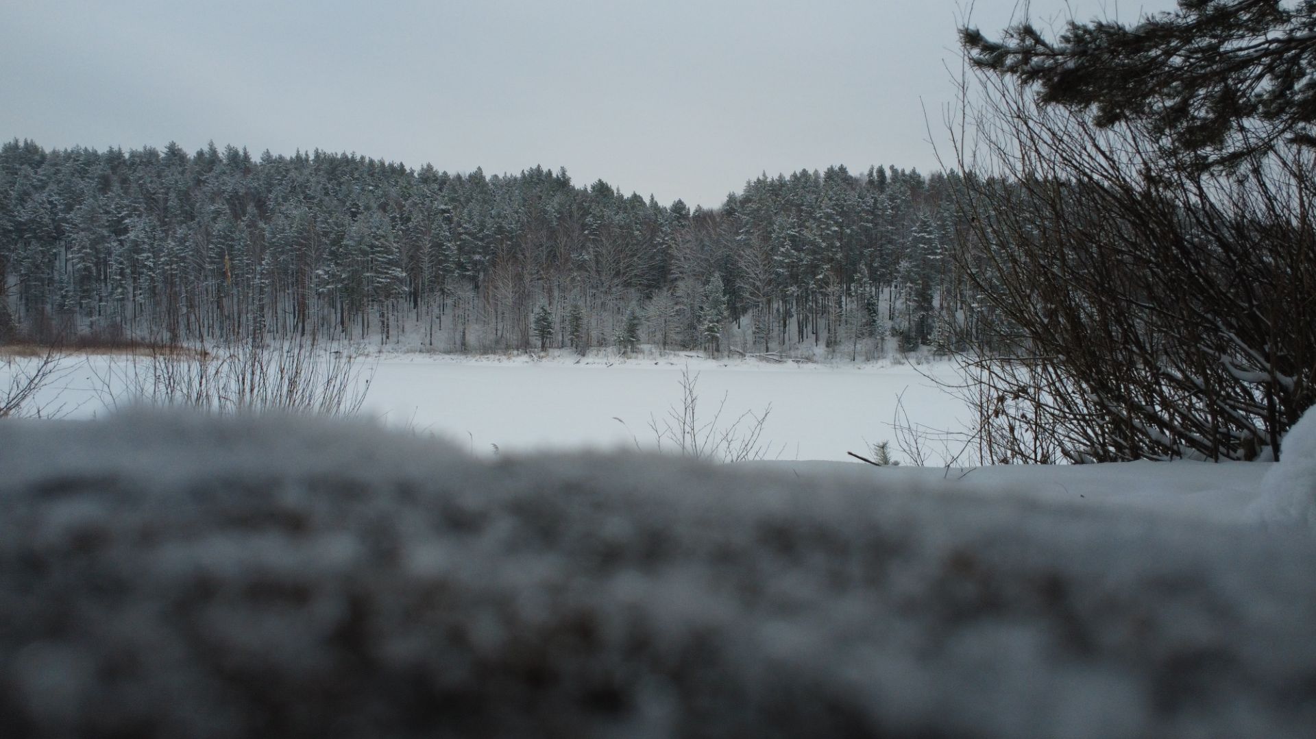 Озеро Глухое зимой: красота и тайна марийских лесов. смотреть онлайн