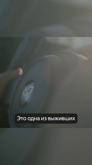 А что есть в вашем сарае?😅