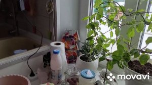 29 декабря обычный день