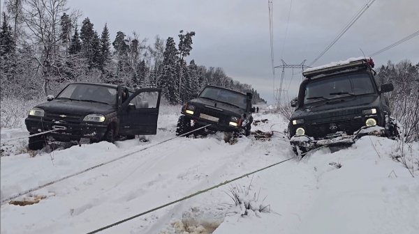 Провожаем старый 2025 год. Сказочная вылазка в лес.