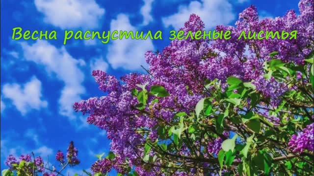 Весна (Армейская песня) Лирика, Баллада