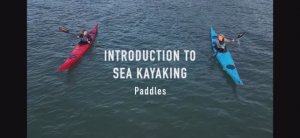 Весла.(Paddles)