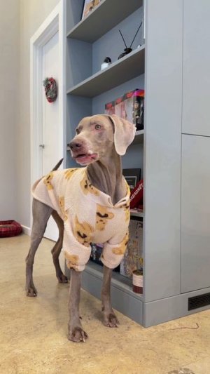 ОСКАР ПОДСТАВИЛ ВСЮ СЕМЬЮ 😢