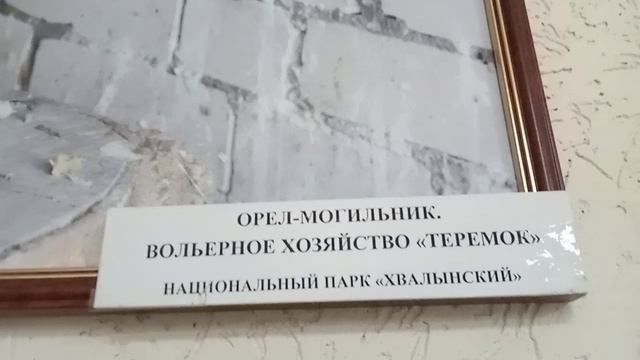 Грозный обитатель природного парка "Хвалынский" смотреть онлайн