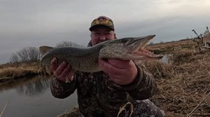 ЩУКА С КАЖДОГО ЗАБРОСА, КОРОЛЕВСКАЯ РЫБАЛКА