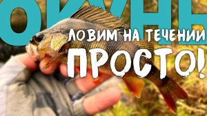 👌НЕХИТРЫЕ СОВЕТЫ, Как искать ОКУНЯ на ПЕРЕКАТАХ. Алгоритм поиска🤫#микроджиг