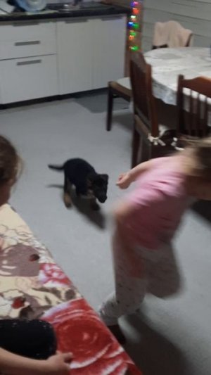 У нас новый член семьи