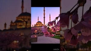 ☺️🥀Мелодия для души 2026 новая ⚜️