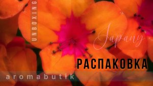 Открываю L’Imperatrice от DOLCE & GABBANA — стоит ли легенда своих денег?