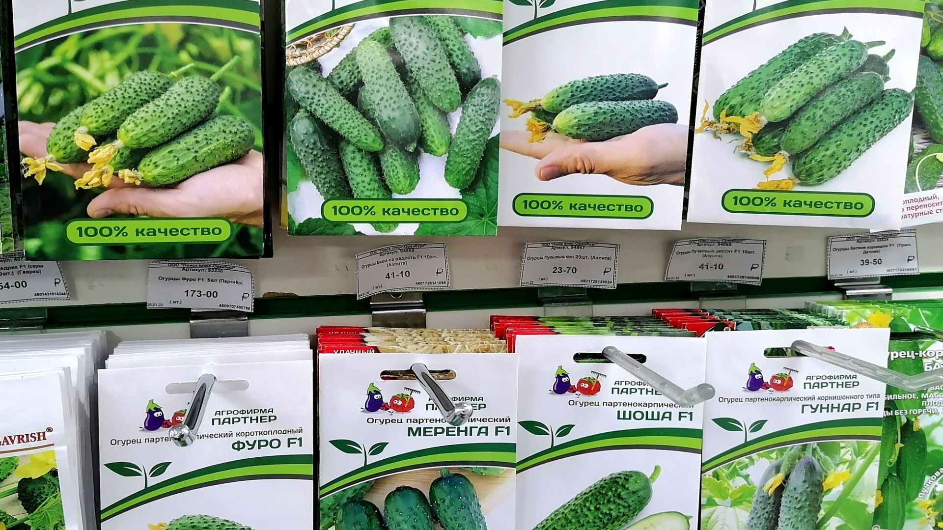 Каталог _ Семена _ смотреть онлайн