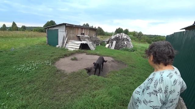 ЖИВЁТ_ОДНА_В_ЗАБРОШЕННОЙ_ДЕРЕВНЕ_Из_города_в_деревню_ЖИЗНЬ_В смотреть онлайн