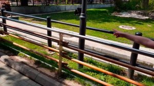 2017 Даша в зоопарке 2017-06-20