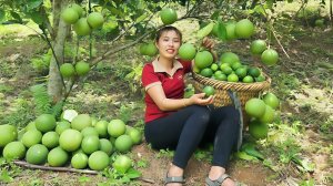 Собираю лимоны и грейпфруты и привожу их на рынок для продажи. Создаю дизайн обеденного стола. Дуонг