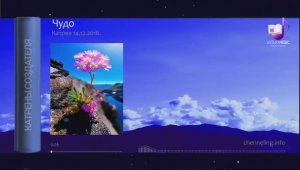 14.12.2016 Катрен Чудо