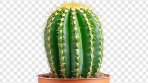 СРОЧНОЕ ПОДКЛЮЧЕНИЕ!!!