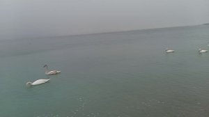 Новороссийск 2025 ( 29.12.2025 ) 🎄❄️🌊