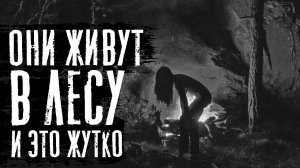 КАША В ГОЛОВЕ - Страшные истории на ночь. Страшилки. Рассказы про лес, деревню