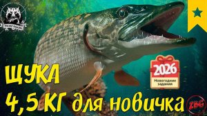 ЩУКА 4,5 ДЛЯ НОВИЧКОВ -  КАК БЫСТРО ЗАКРЫТЬ? ЗАДАНИЯ НОВЫЙ ГОД - ОСТРОГ ⭐ РУССКАЯ РЫБАЛКА 4 @Z-B-G