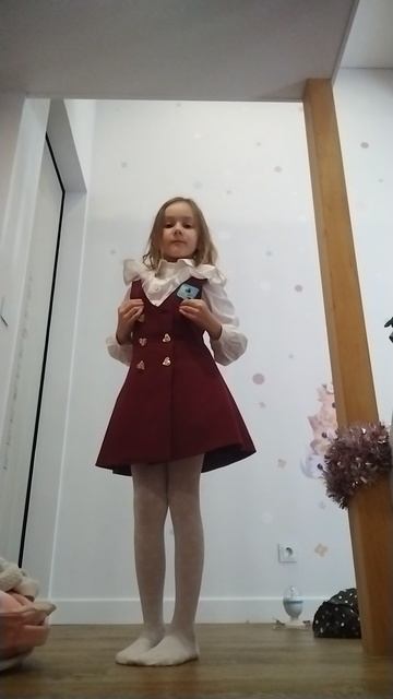 VID_20251129_111928.mp4