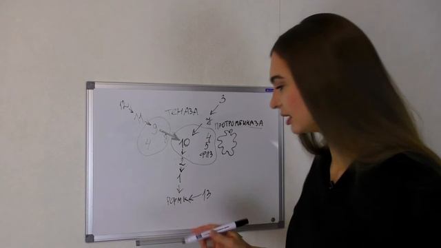 Свёртывание крови. Как легко запомнить каскад свёртыв смотреть онлайн