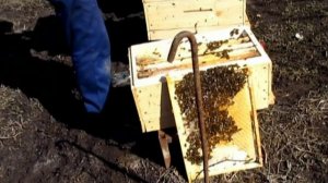 Разные размеры рамок в отводке на 145мм корпусе