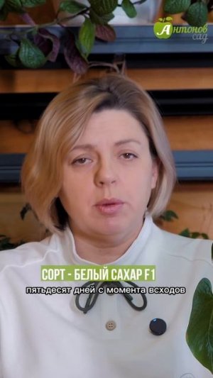 Белые огурцы: какой сорт выбрать?