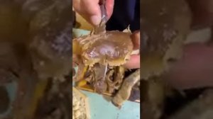 Традиционный монгольский Чабаки летом на лугу!  #еда #кулинария #монголия