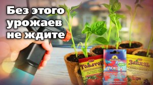 Нужные вещества для растений. Препараты с гормонами