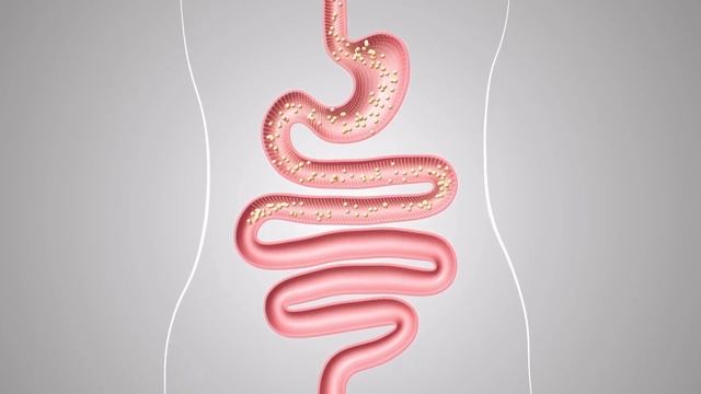 Просто начал ЖЕВАТЬ гвоздику и избавился от 10 НЕДУГОВ! смотреть онлайн