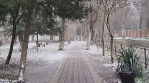 Керчь. Зимняя прогулка ул. Курортная, пер. Юннатов 29.12.25