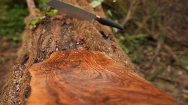 Cooking a Chicago-Style Italian Beef Sandwich in the Wild Bushcraft Outdoor Cooking