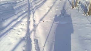 Проверка капканов часть 〽️ 10.Удачная проверка.