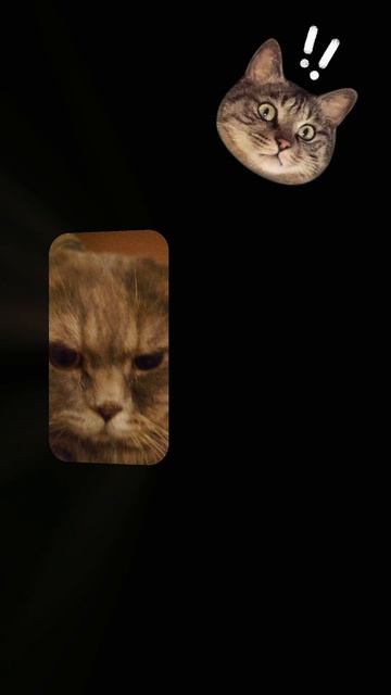 мой котик💋😝