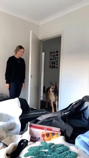 такие прикольные 😆
подписывайтесь на перчик🌶🌶 тут всё для хорошего настроения☺☺☺#перчик #приколы #юм