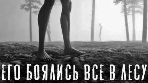 Страшные истории на ночь - ОХОТНИК 2. ЛЕСНАЯ ЗАИМКА - Страшилки на ночь