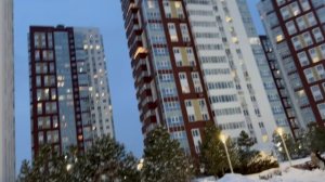 С новым 2026 годом