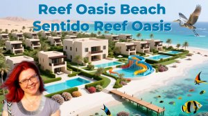 Обзор отелей Reef Oasis Beach Resort & Sentido Reef Oasis
