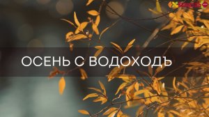 Осень в круизах с «ВодоходЪ»