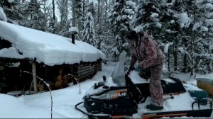 Предновогодняя Охота. Волки и лоси. Добыл соболя.