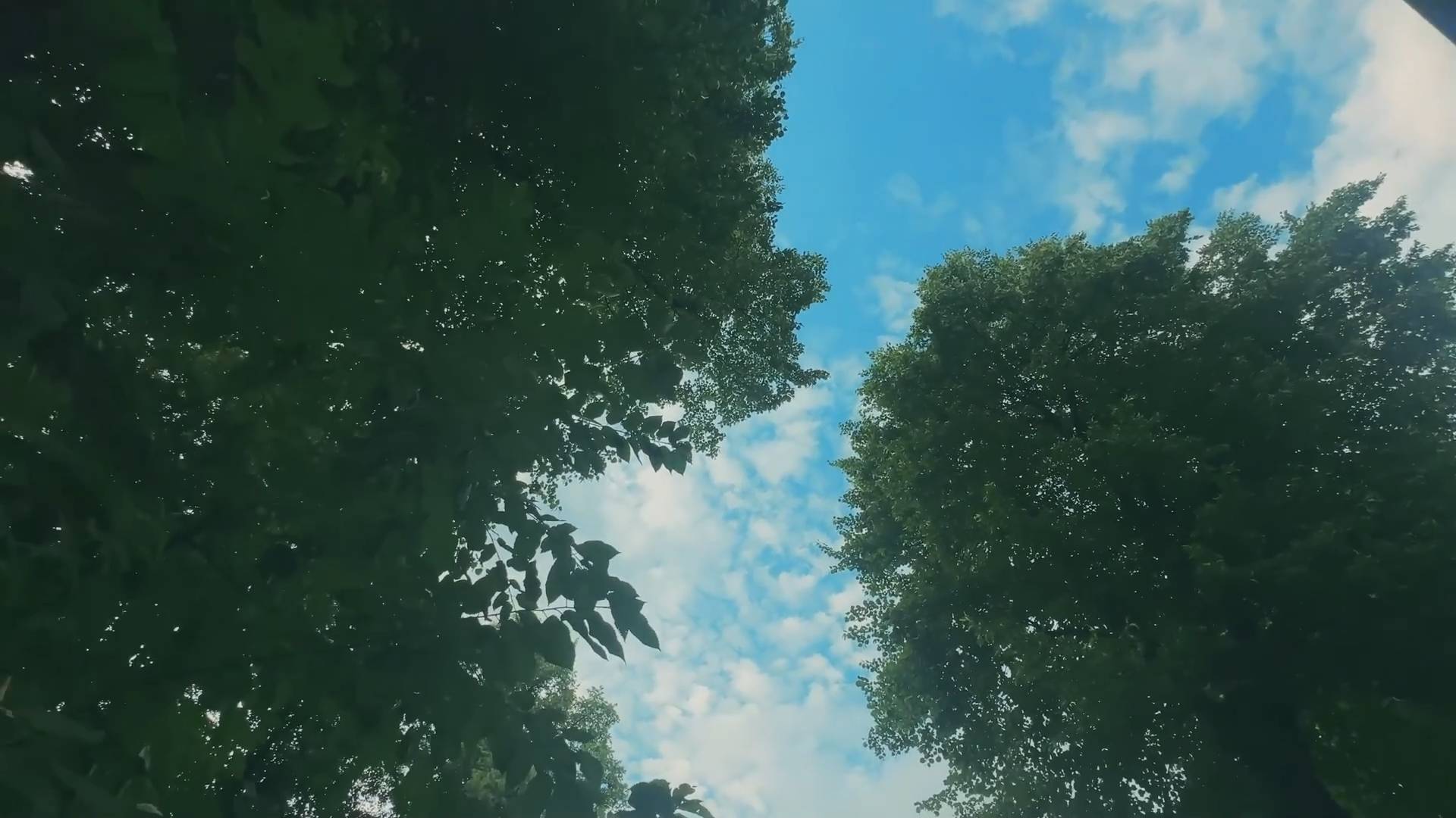 This Massage Trick Relieves Back Pain Fast! ONLY ADULT смотреть онлайн