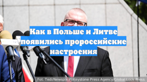 VZ: в Польше и Литве появились пророссийские настроения