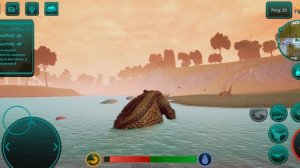 Гнездование сарко