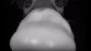 Дверная Камера Снимает Уникальные Прикольчики)