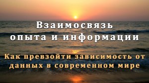 Взаимосвязь опыта и информации. Как превзойти зависимость от данных в современном мире