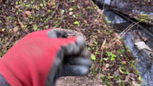 Нашел находки возле старинного ручья